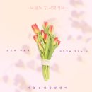 미술치료 집단상담(그림으로 마음읽기) | “지금 여기, 나를 만나다- 게슈탈트 집단미술치료 이야기”🌿