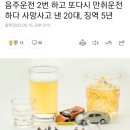 20대 음주운전 상습범의 80대 할머니 살해사건..징역 5년 이미지