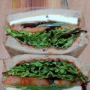 오늘은 샌드위치 이미지