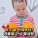 이레청과 | 아기귤 언제부터? 비가림 황금향 제철이라 먹여본 경험담