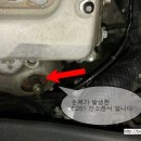 P0051 이미지