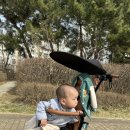 늘솔길근린공원(4호) 공원화장실 | 13개월 아기랑 인천 늘솔길공원 양떼목장 나들이!