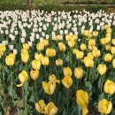 아이숲어학원 이미지