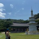 블루앤피플주 이미지