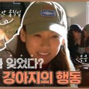 캐나다 체크인