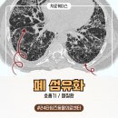 타임즈 동물의료센터 이미지