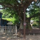 옥정마을경로당 이미지