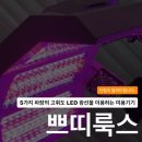 쁘띠룩스 이미지