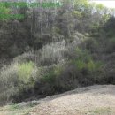 주을길천 이미지