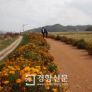 태백산맥 이미지