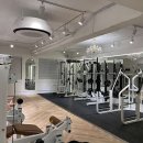 일루고짐 이미지