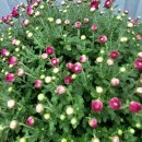 삼성환경 이미지