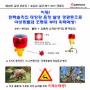 솔라태양광 티스토리