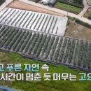 태순농장 이미지