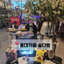 홍대 카페 추천｜분위기 좋은 레트로 감성 숲다방 후기