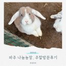 고개농장 | 파주 나눔농장 후기 아이들이 너무 좋아하는 동물 먹이주기 체험