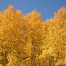 하얀당구장 이미지