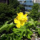 상인3동행정복지센터 이미지