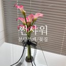 분당-193 | W21. 썬샤워-분당 꽃집 촬영 부케 내돈내산 후기