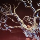 [이용숙 공연평론가] 대본의 교훈과 음악의 비장미에 감동한 관객들 - 국립오페라단 ‘처용’(Tcheo Yong) 파리 공연 이미지