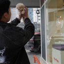 퍼피플레이스 이미지