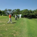 (주)세송