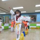 용인대 최고 태권도장 이미지