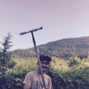 한신대학교 이미지