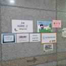 셀프만삭사진 스튜디오 추천: 베러픽스튜디오(드레스대여)