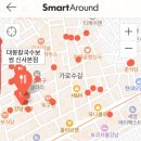 그린닷