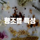 시향 후기 500개 기념 시향기 정리 - &#34;그래서 넌 무슨 향을 좋아하는데?&#34;