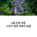 담양오방길3코스(습지길) | 6월 안동 여행 코스 총정리: 하회마을 탈춤·한옥스테이·찜닭 맛집까지 완벽 가이드