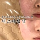 에스떼청담