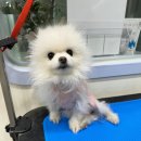 Mong's(몽'스) 이미지