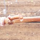 일비농장 이미지