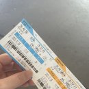 매카라 게스트하우스 | 양양 인구해변 매카라 게스트하우스 여자 혼자 숙박&amp;서핑강습 후기