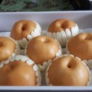 박광수농장 이미지