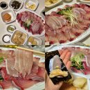 오메가메한잔 | 울산 방어 대방어 맛집 오메가메 포장 후기