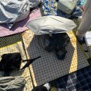 씨유인천검암점 | [후기] 와 이걸 해준다고? 와 이걸 안해준다고?🤷‍♂️/ 2025 사운드플래닛 페스티벌🪐 후기(9/14 일 2일차)