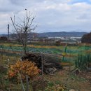 중앙탑면사무소 이미지