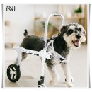 고려보조기 | 공간녹백 강아지 보행기 애견 슬개골 탈구 휠체어 보조기 보호대