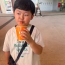 예약센터 | 싱가포르 사이언스센터 티켓 예약 점심 후기 ♥ 말레이시아 조호바루 한달살기 25일차