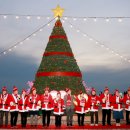 바다사랑 이미지