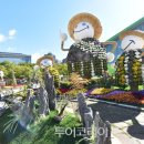 일산 호수공원 가을꽃 축제 이미지