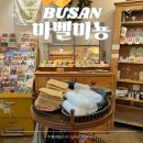 마벨미뇽 | 마벨미뇽 부산 여행 서면 소품샵 전포 데이트 핫플 가볼만한곳