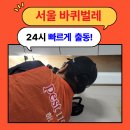 서울 바퀴벌레 방역 업체 24시, 새벽에도 빠르게! YES!