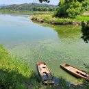 우포의 숲속 | 경남 창녕 우포늪 여행 – 생태체험부터 왕버들 숲길까지, 힐링 트래킹 추천 코스!