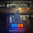 더블리스 코리아 콘서트 이미지