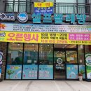 아쿠아워시포항 이미지