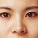 눈썹대로